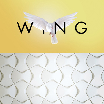 nmc Wing с размерами